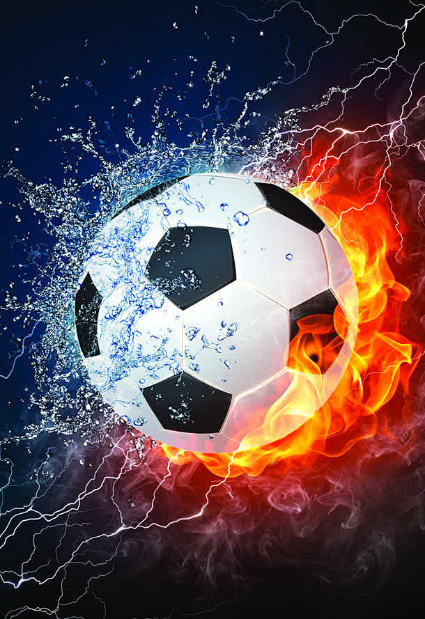 二波组织 二波组织