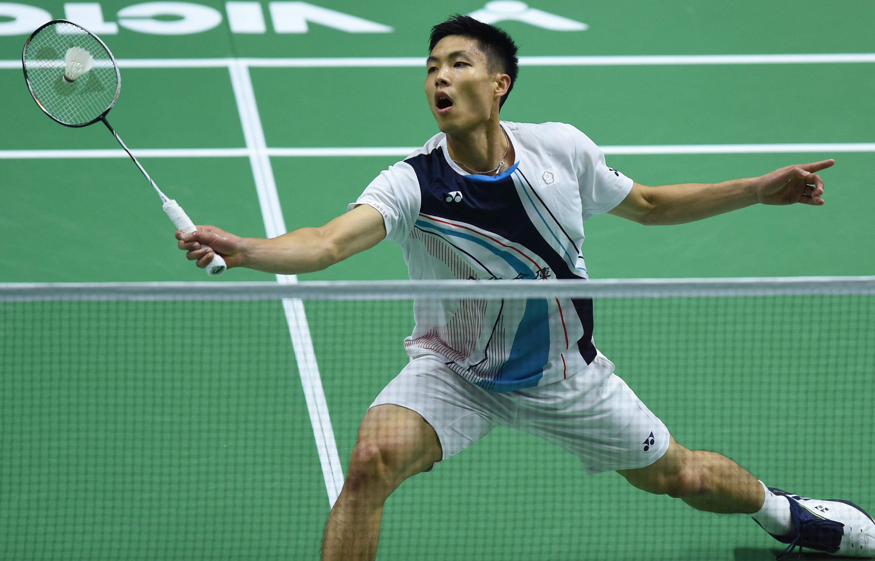 书的项目 书的项目